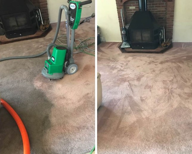Carpet Cleaning Before and After Photos