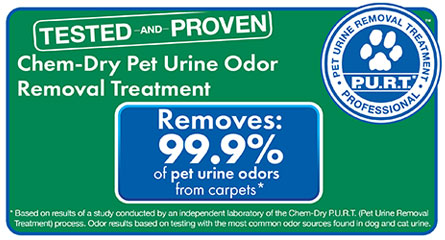 Pet Urine and Odor Removal by Chem-Dry of Manhattan